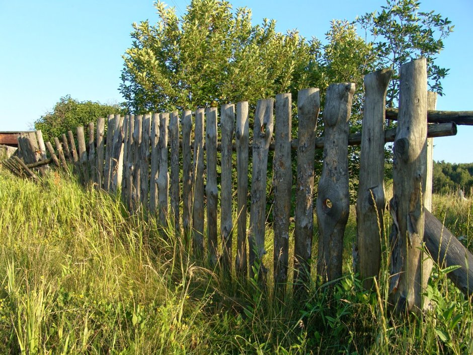 Старый забор