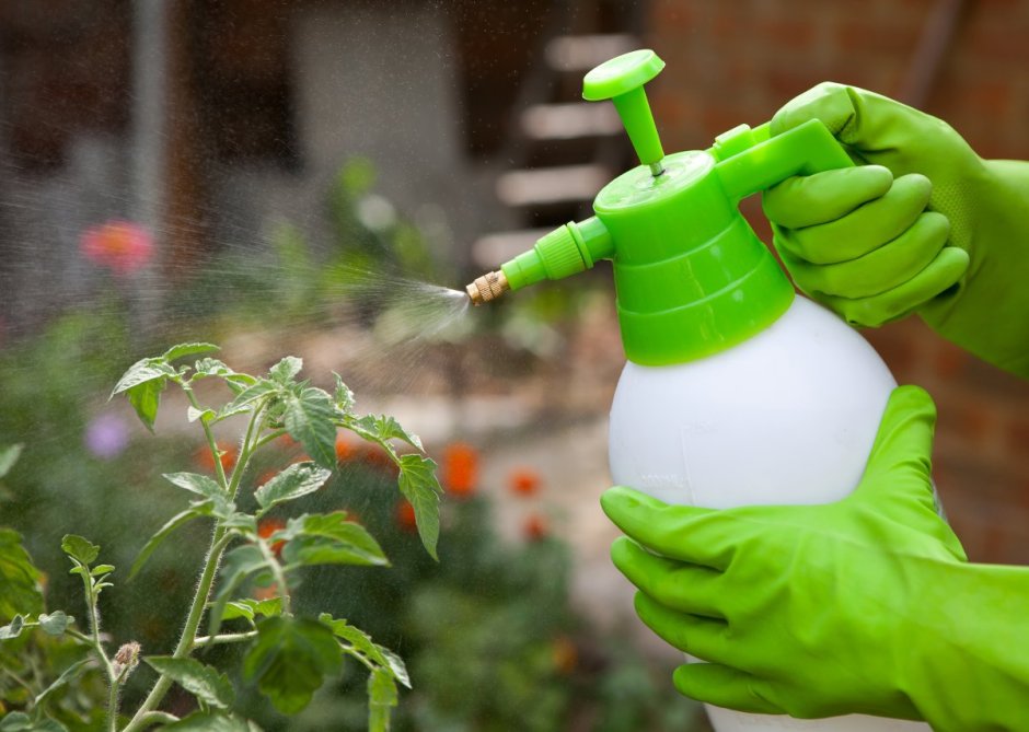 Химическая защита растений