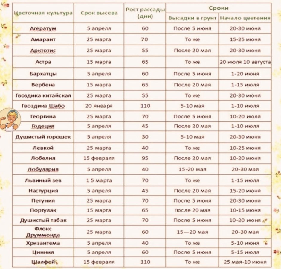 Таблица по срокам посева семян на рассаду
