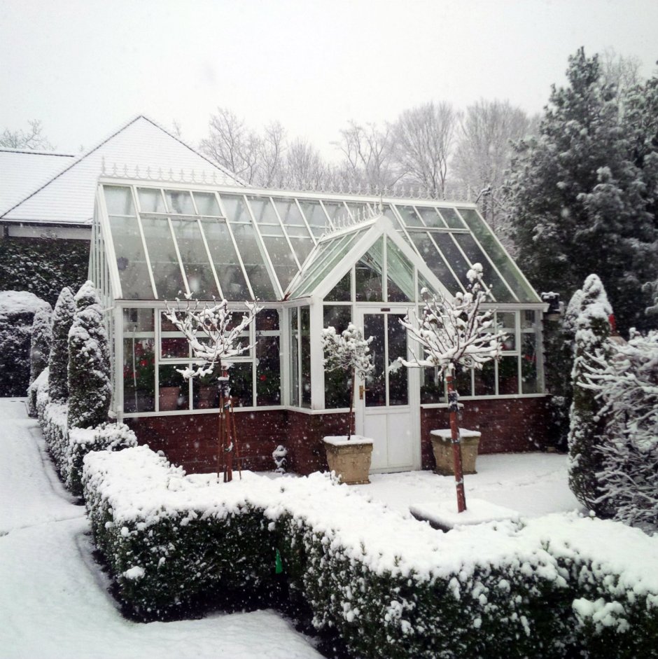 «Зимний сад» оранжерея Пэкстон