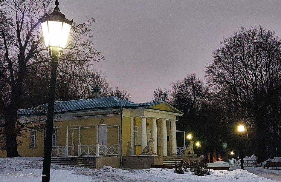 Парк в Москве зимой