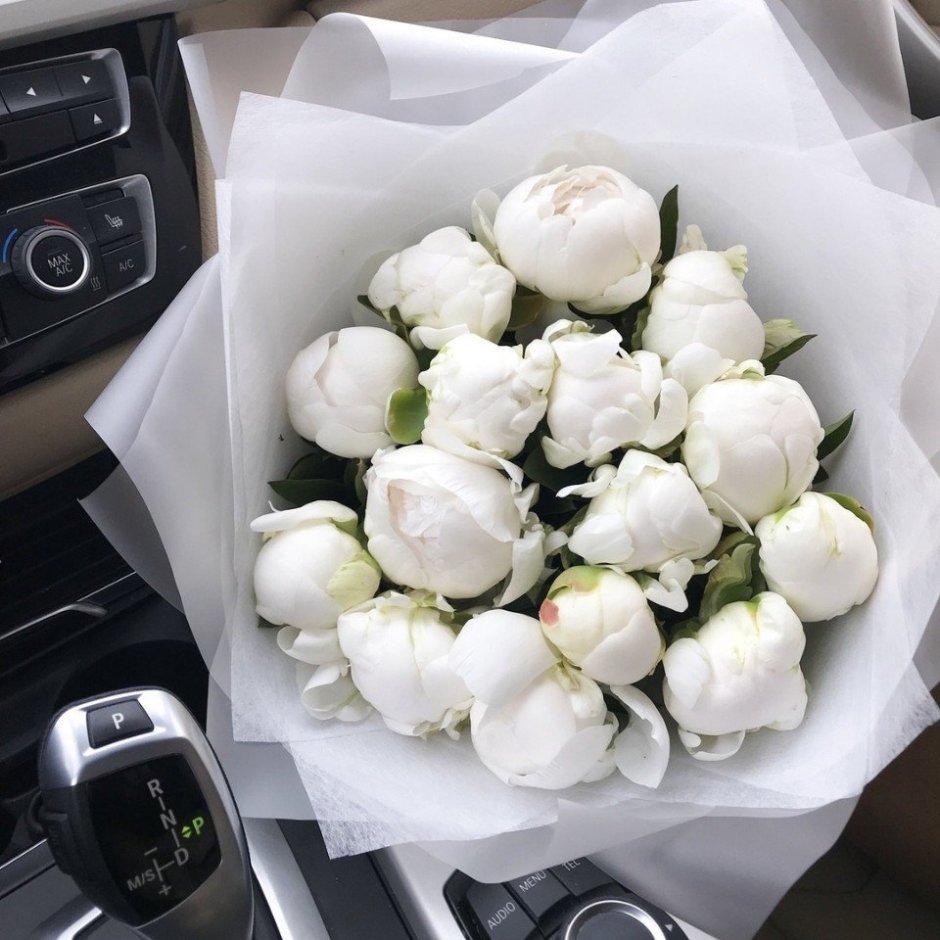 Бледно белые розы