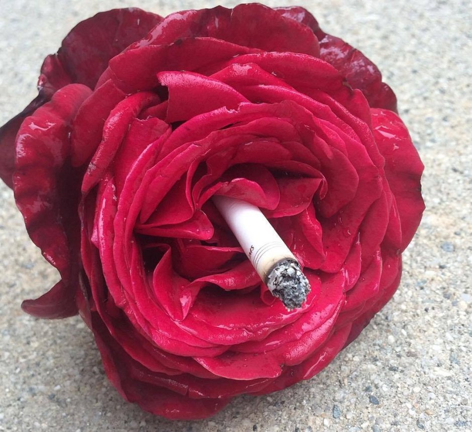 Курильщик с розами