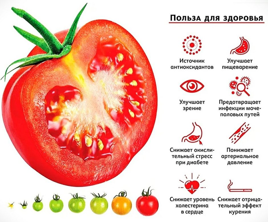Интересные факты о помидорах