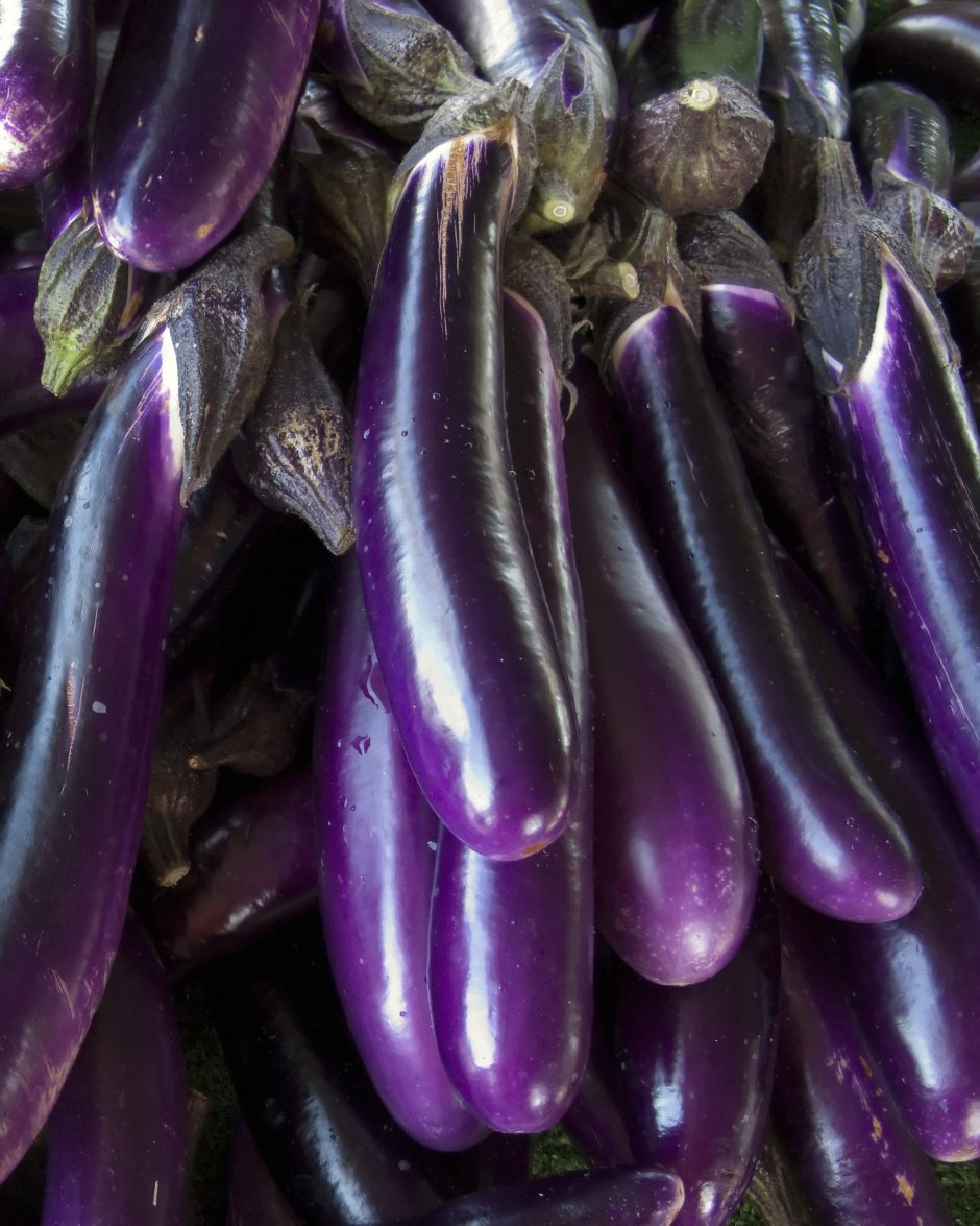 Овощи фиолетового цвета