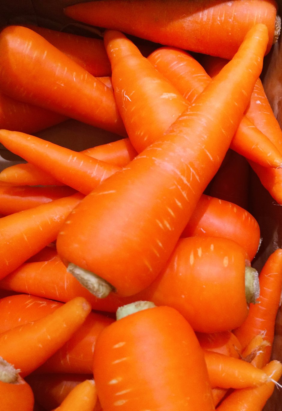 Морковь Мармеладка f1