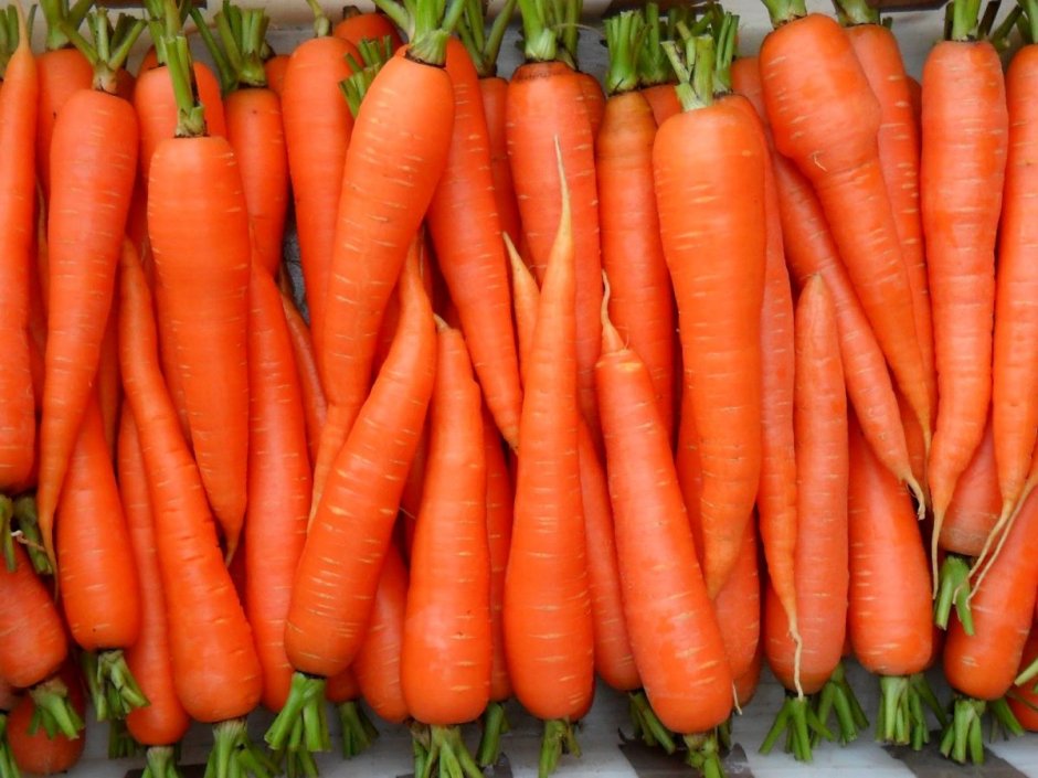 Морковь Нантик Резистафлай f1