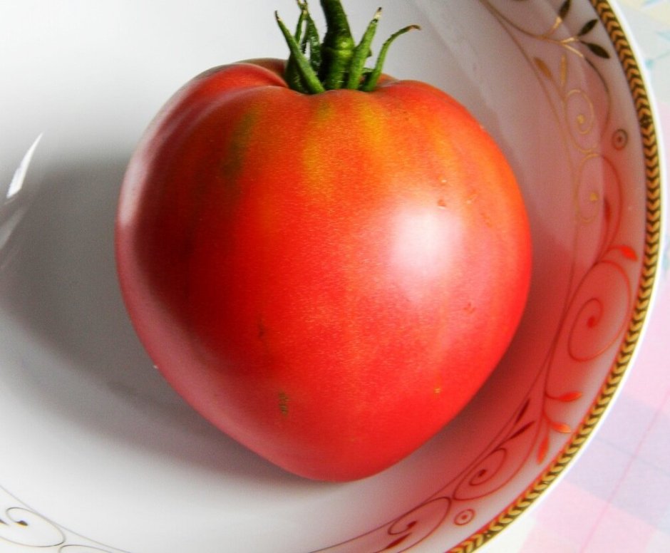 Суперранний сорт томатов