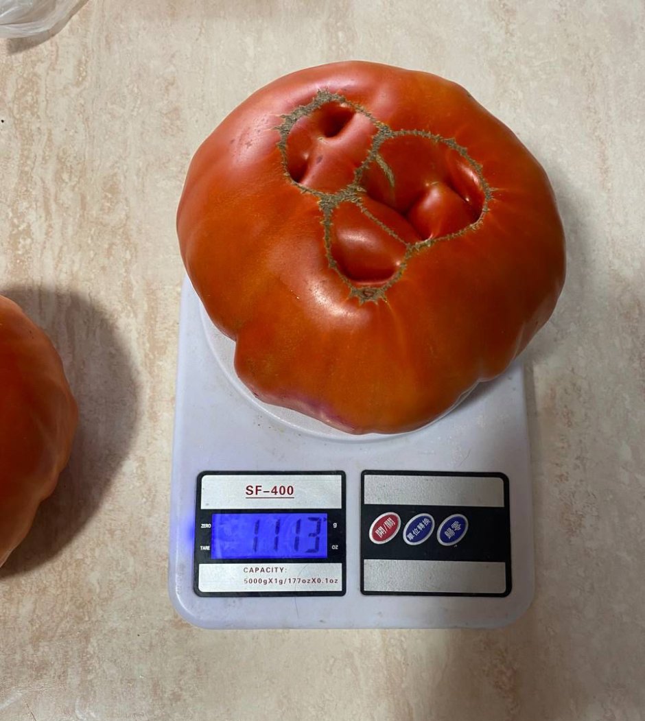 Вес без весов помидоры