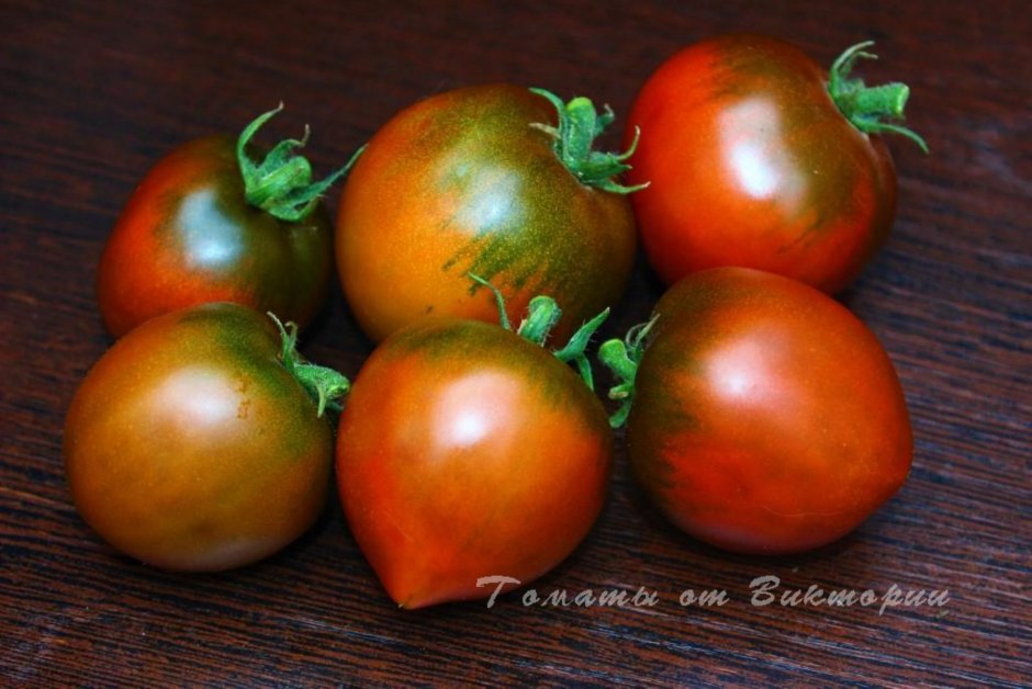 Гномы от томаты у Виктории