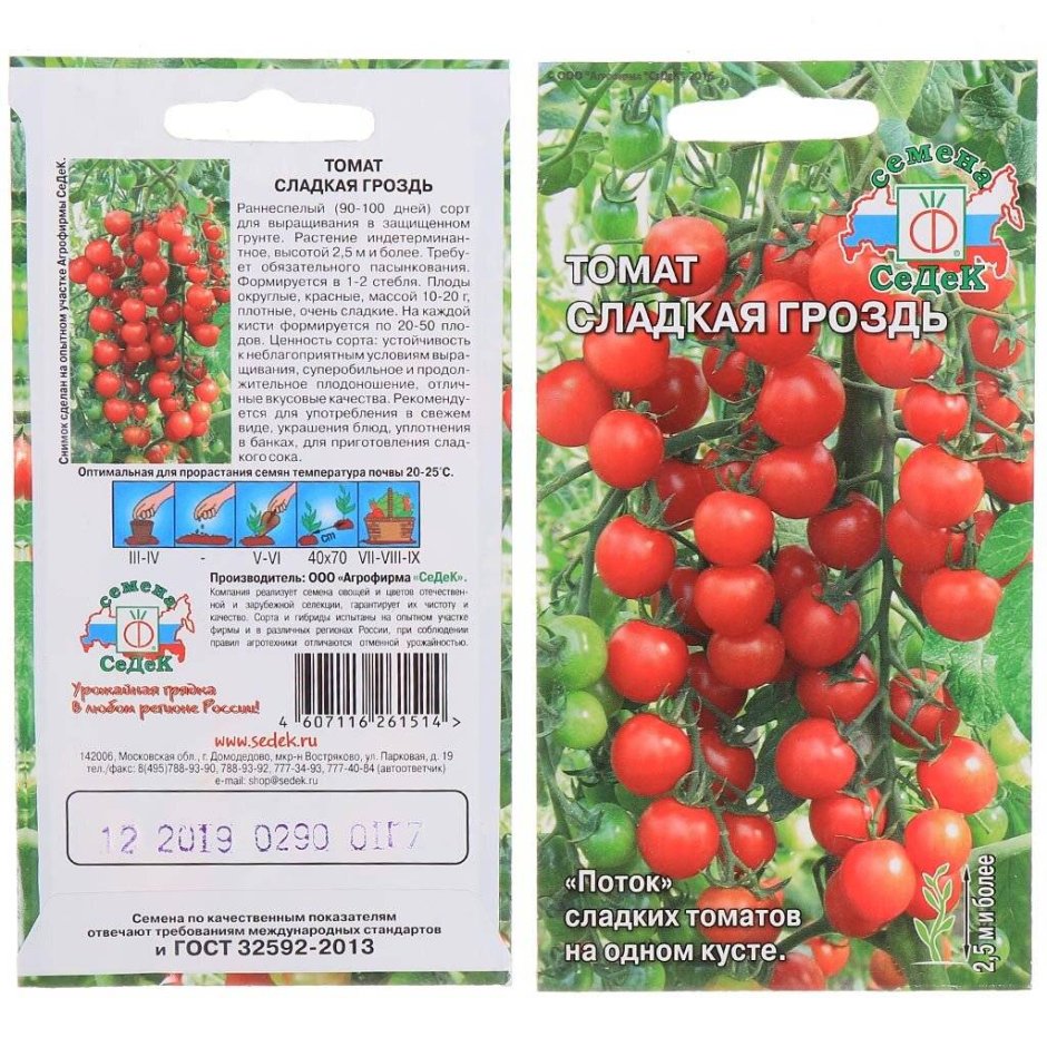 Семена томатов Виноградная гроздь