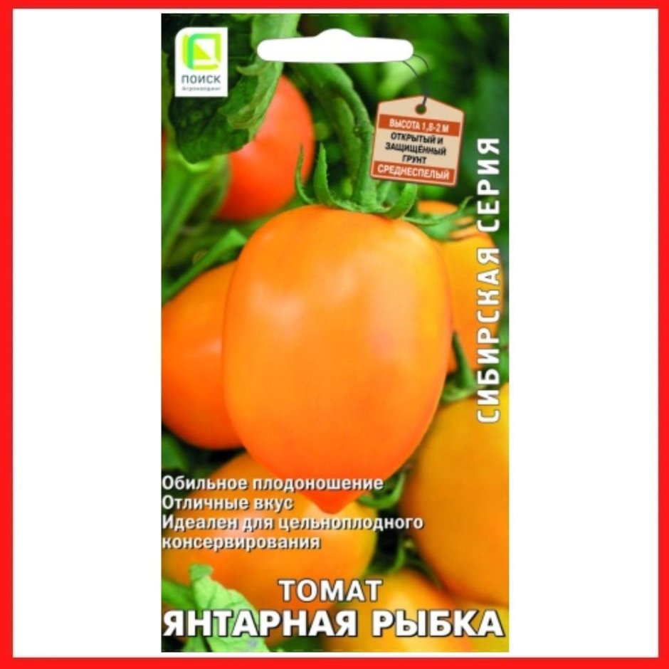 Янтарная томат Садория