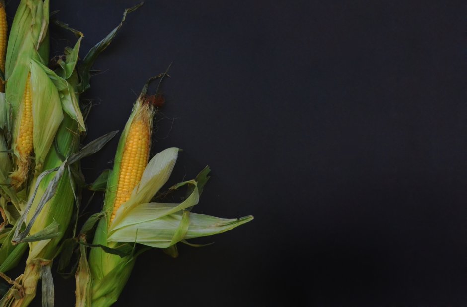 Цветок кукурузы