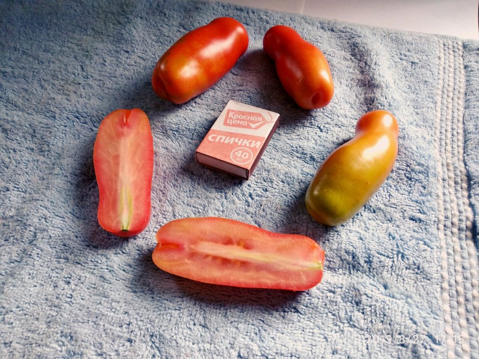 Сорт томатов жигало