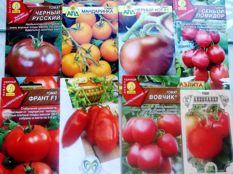 Каталог семян томатов фирмы Аэлита
