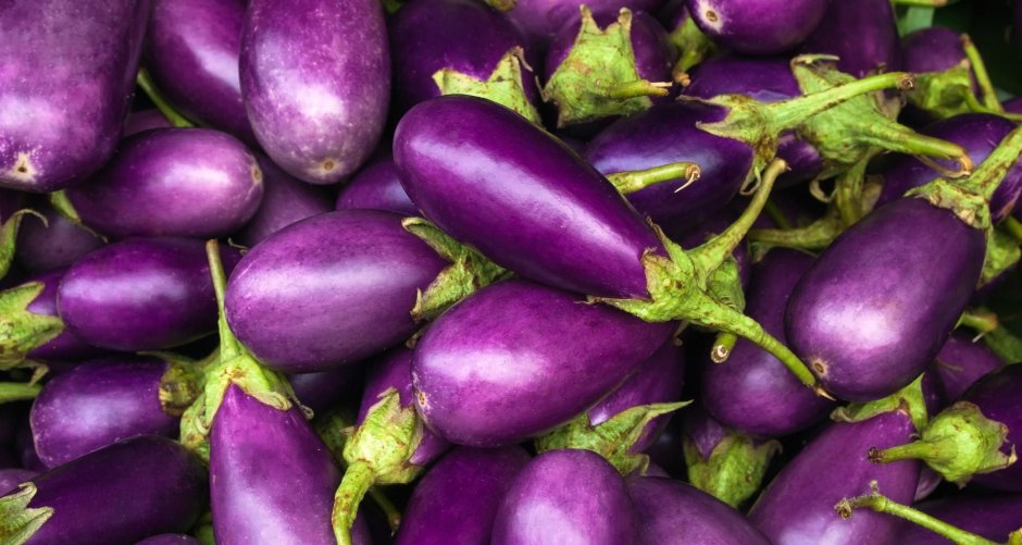 Aubergine Eggplant