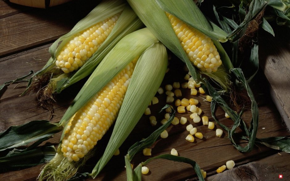 ДКС 4014 гибрид кукурузы