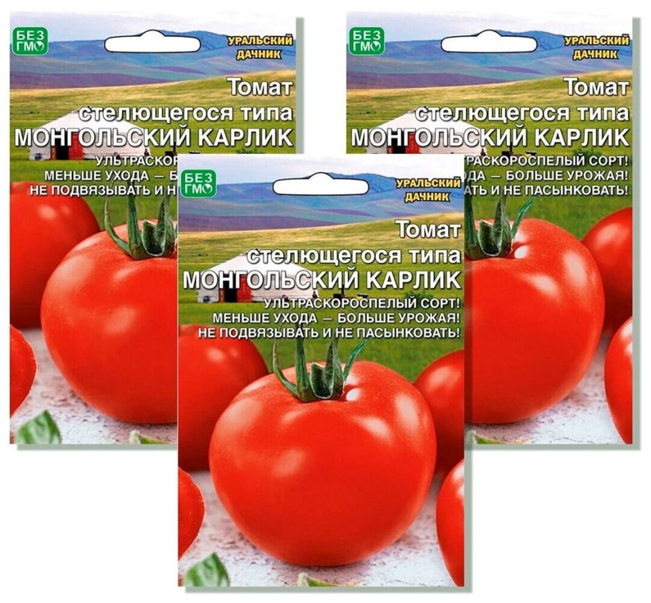 Семена томат монгольский карлик Уральский Дачник