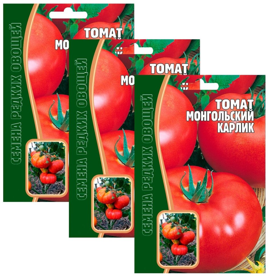 Семена томат Монгол карлик