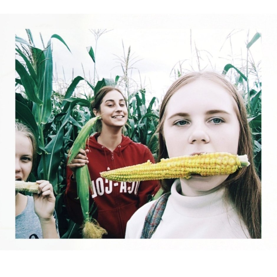 С днем кукурузы