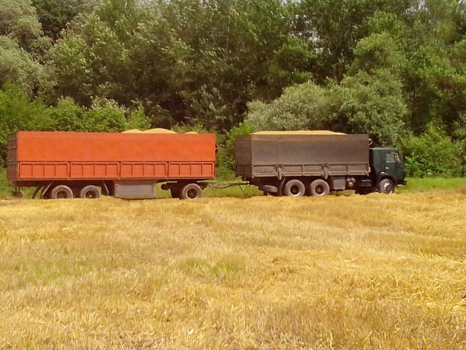 КАМАЗ 54112 зерновоз