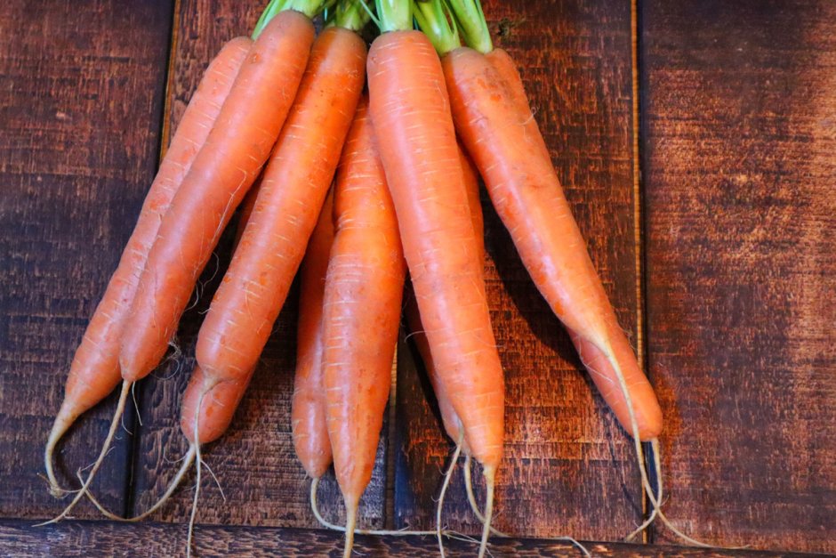 Морковь шанс