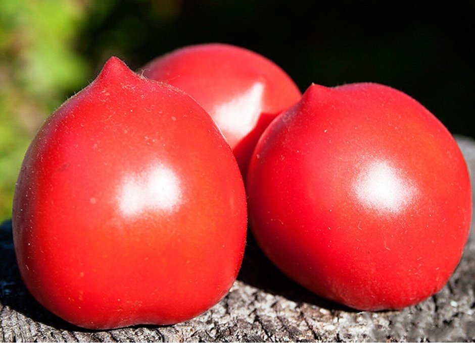 Семена томат де Барао красный