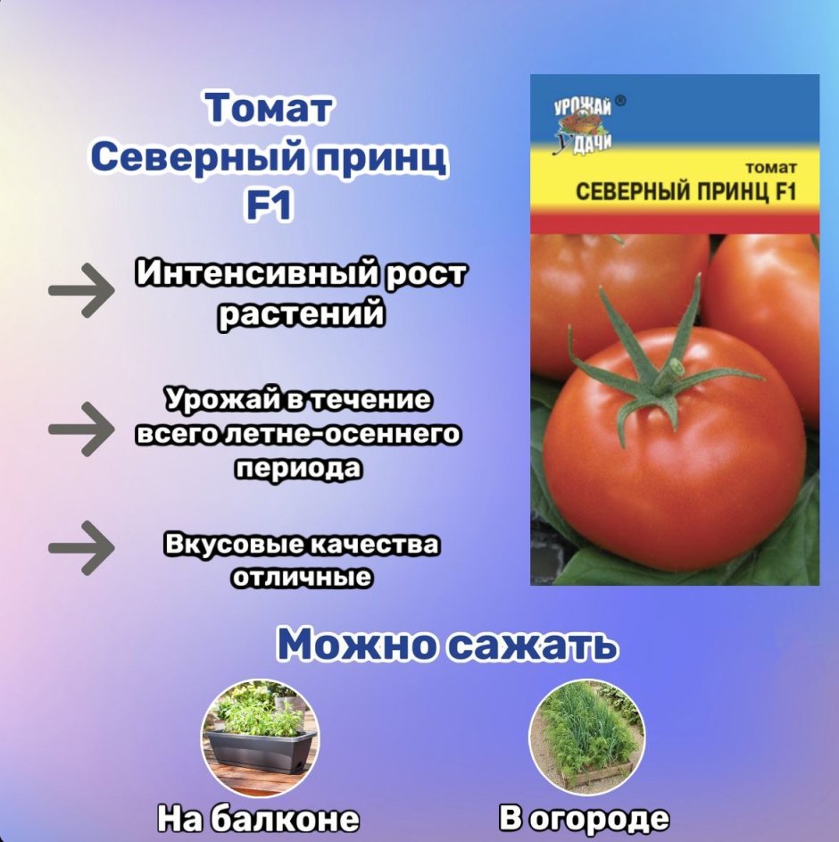 Условия хранения томатов