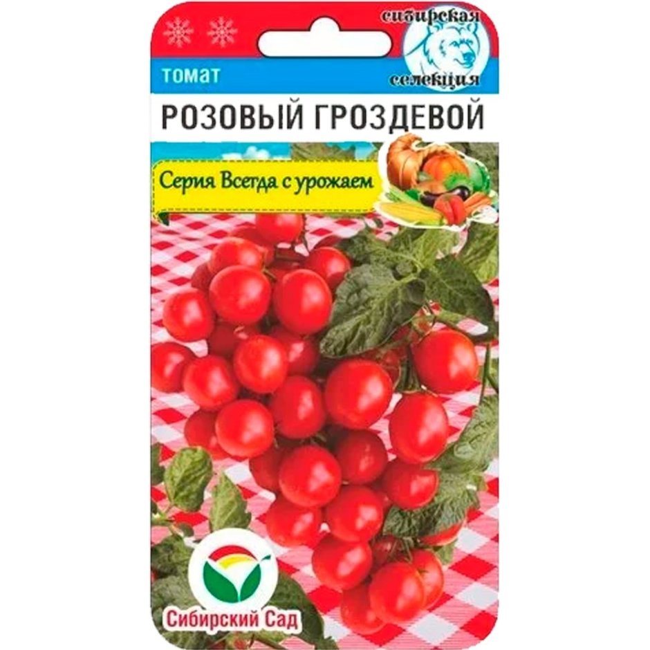 Сибирский гроздевой томат производитель