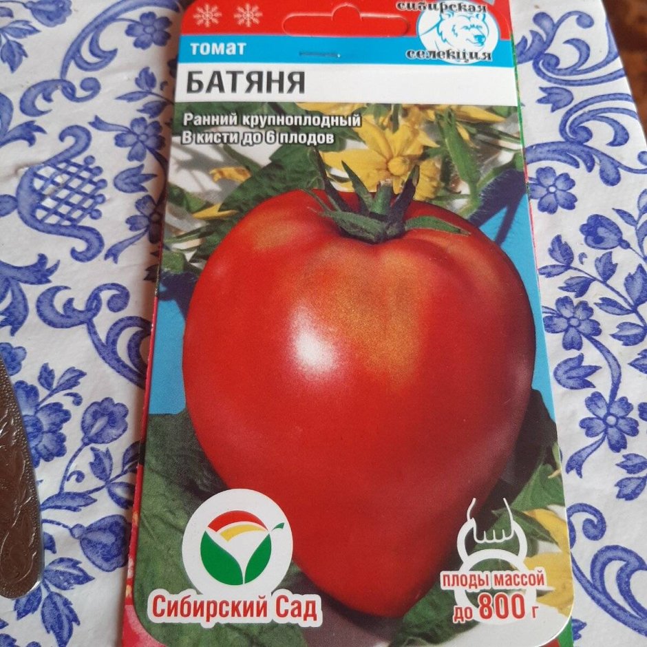 Батяня помидоры Сибирский сад