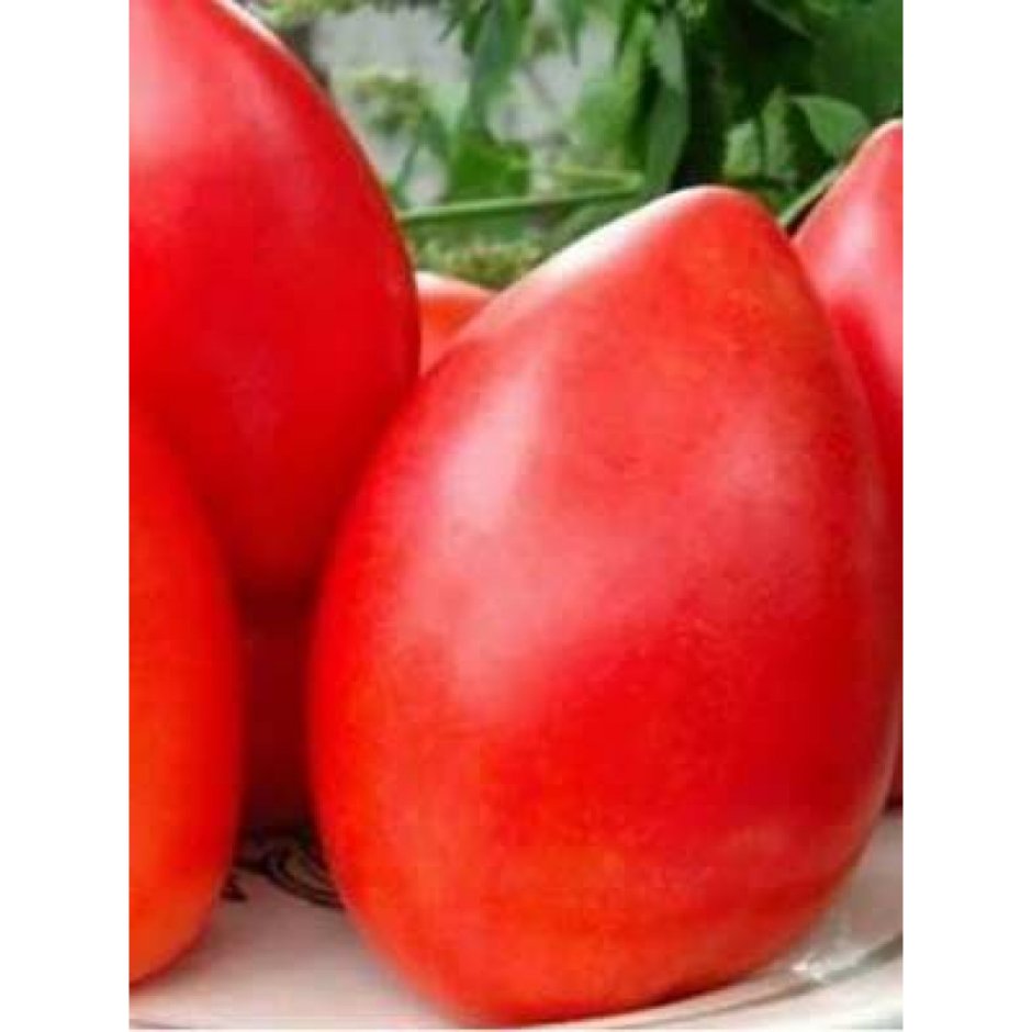 Батяня 20шт томат (Сиб сад)