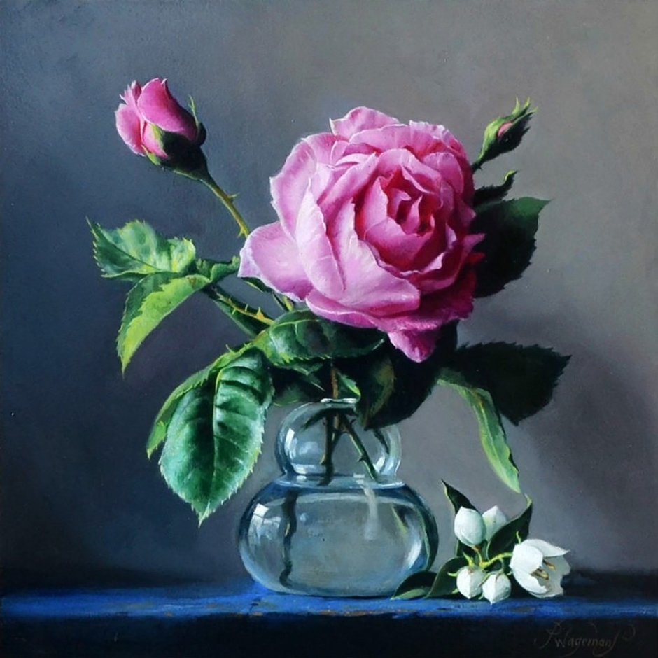 Pieter Wagemans розы