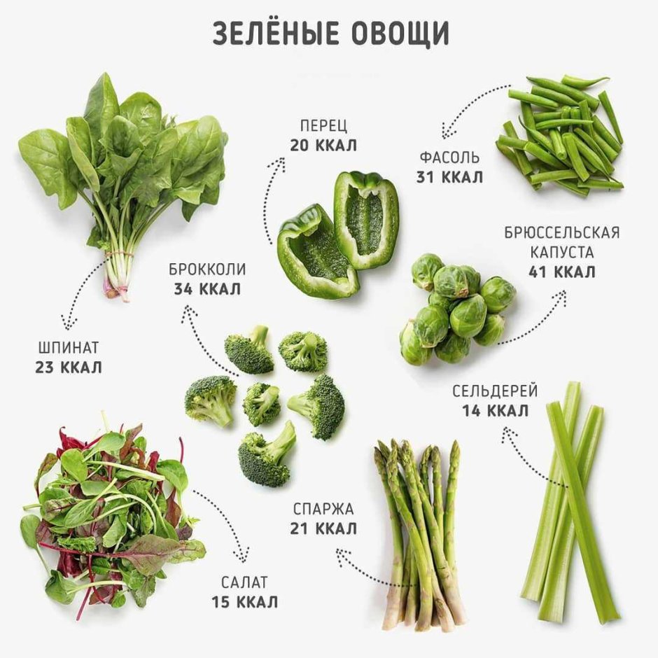 Зелёный овощ название
