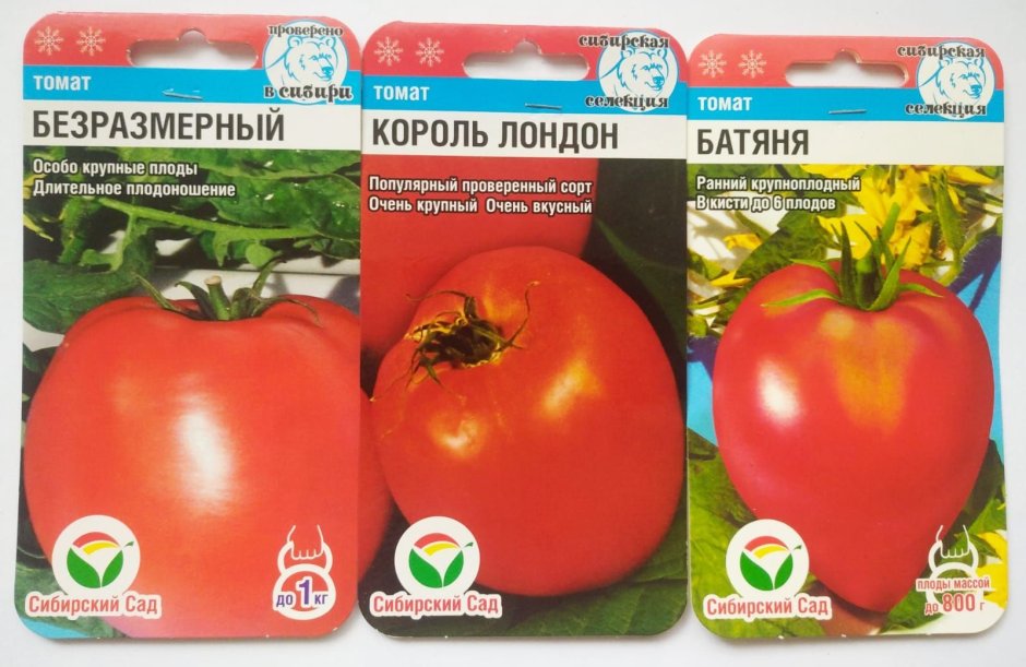 Семена Сибирский сад томат Золотая клуша