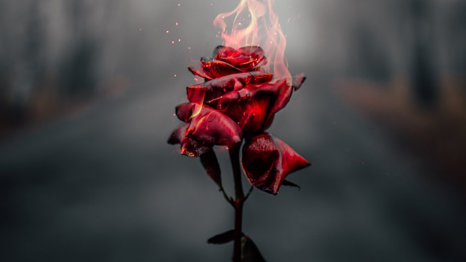 Пламенный цветок