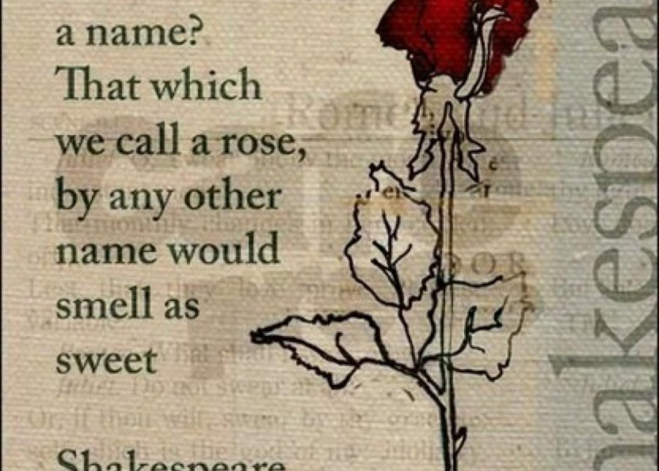 Шекспир стихотворение про розу