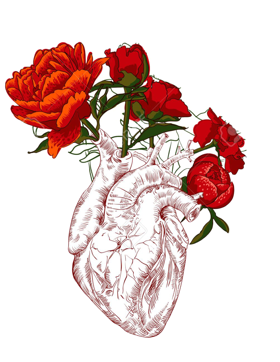 Анатомическое сердце с цветами