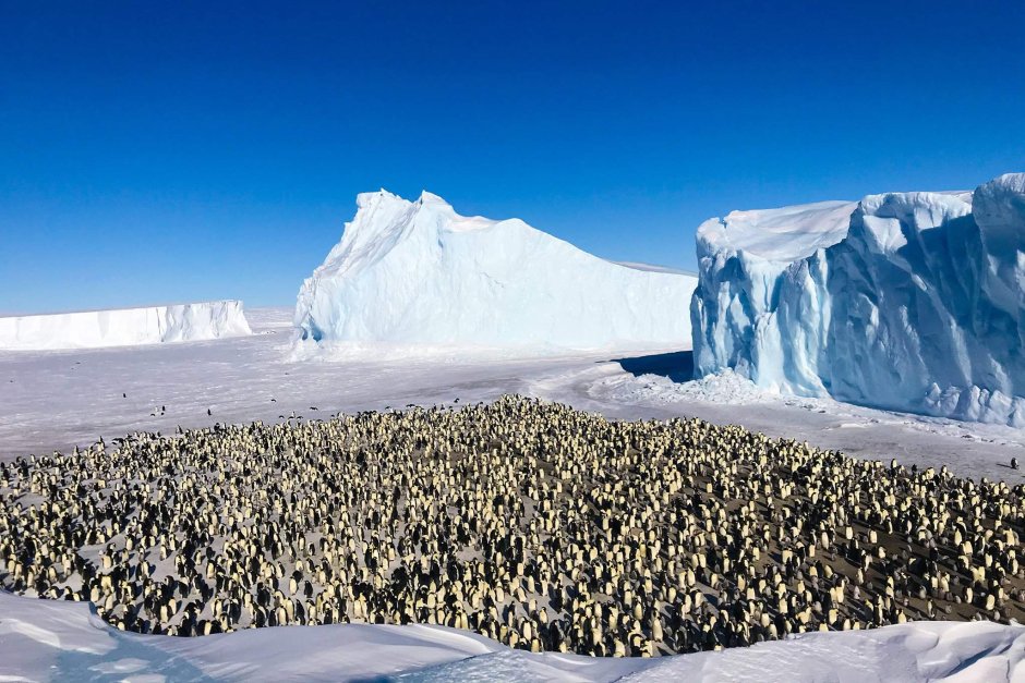 Антарктида гора Ферсмана