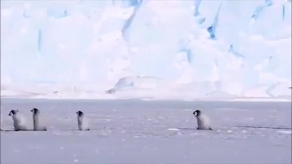 Полярный день в Антарктиде длится не более 3 -х месяцев