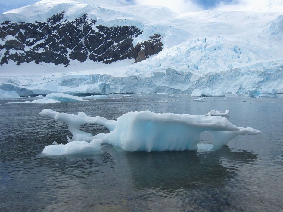 Находки во льдах Антарктиды