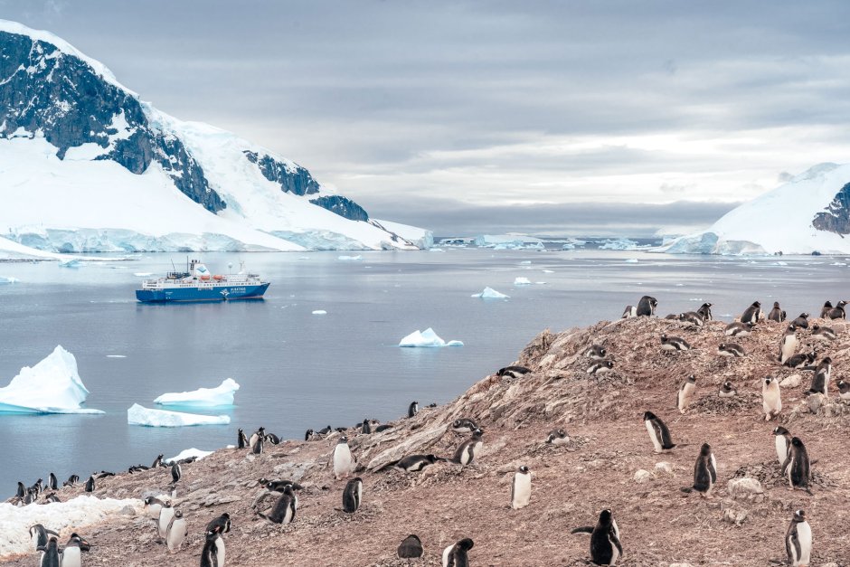 Остров Зыкова Антарктида