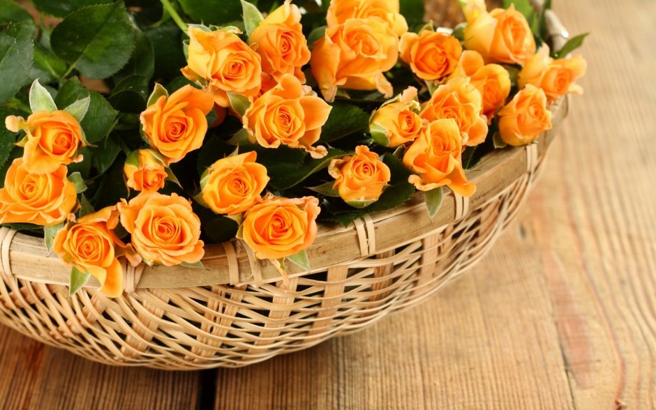 Шикарные оранжевые розы