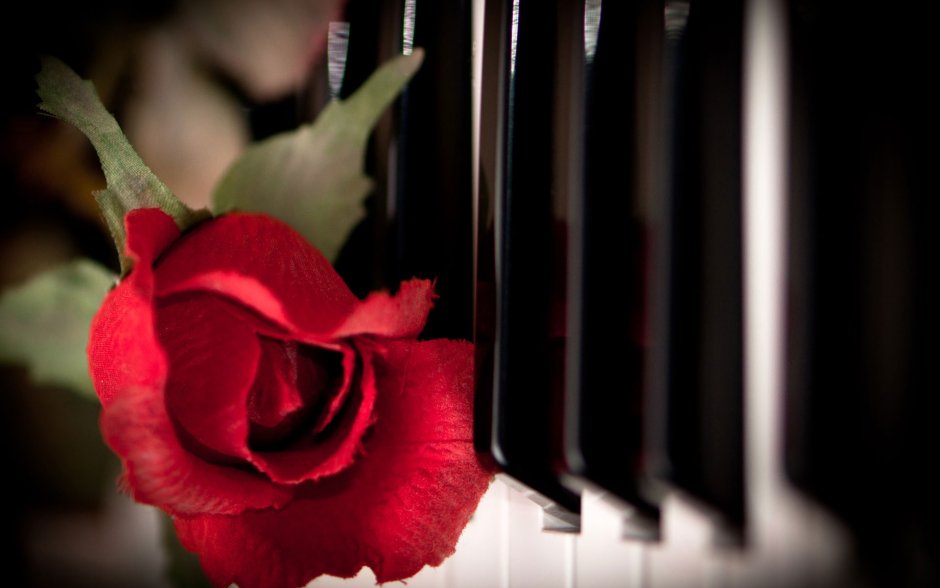 Цветы на пианино