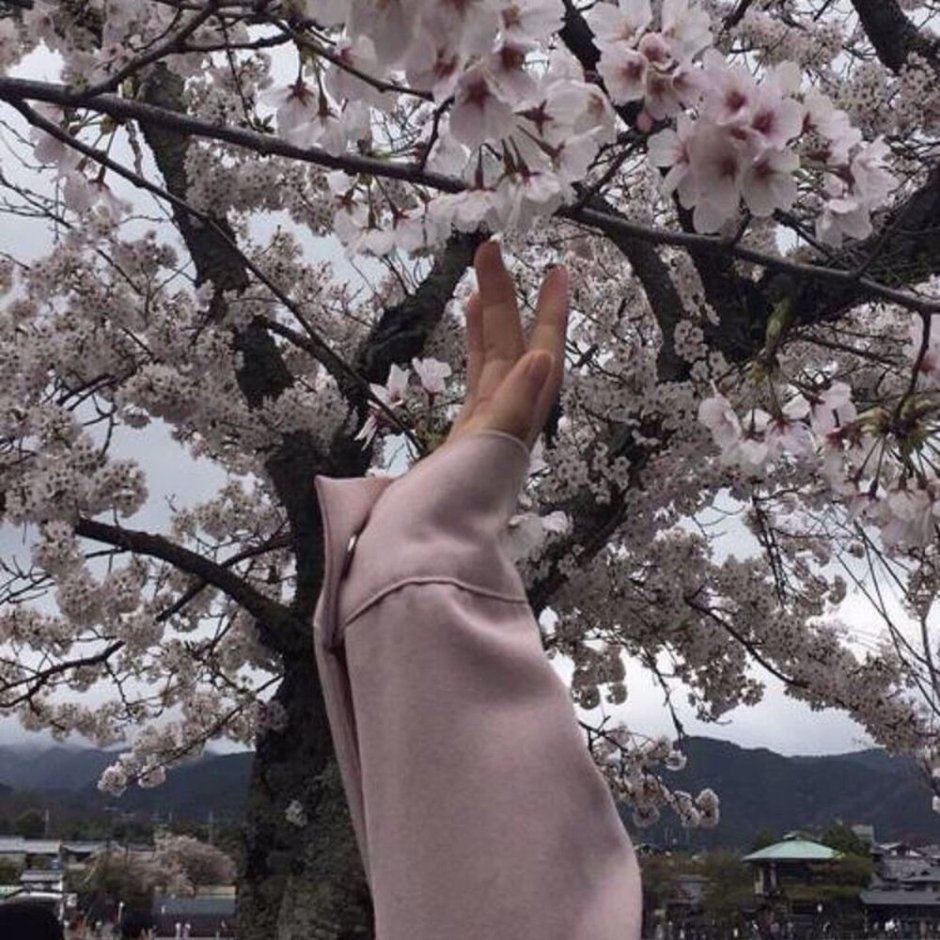 Весна Корея Эстетика