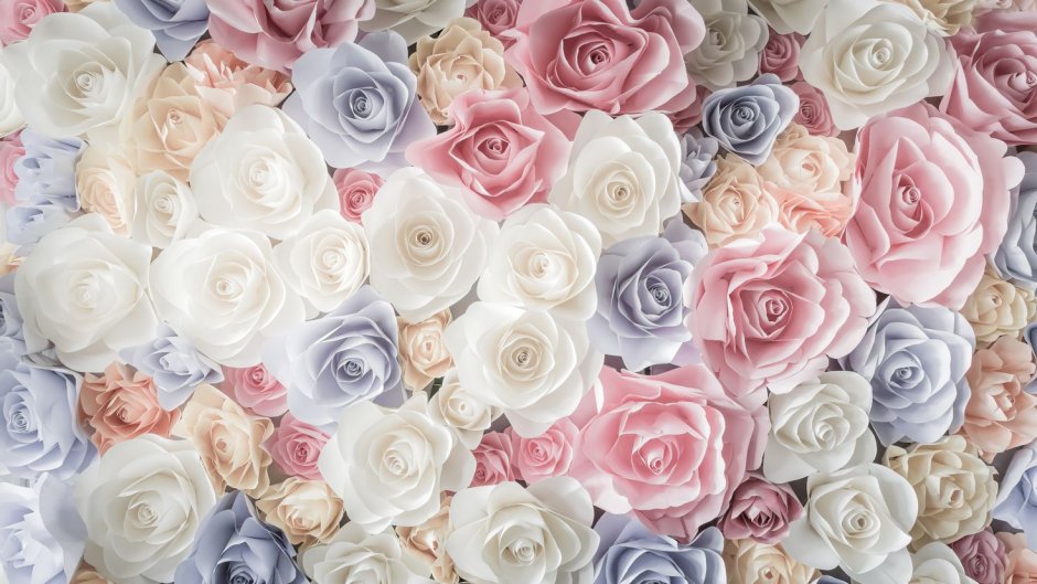 Бело розовые цветы