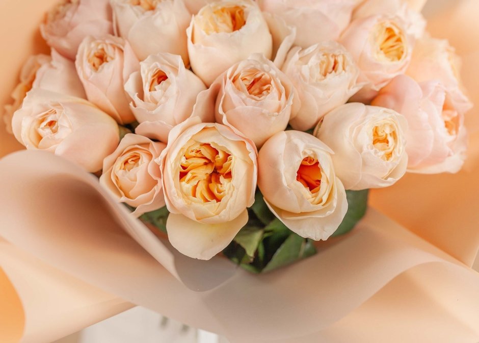 Пионовидные розы Juliet