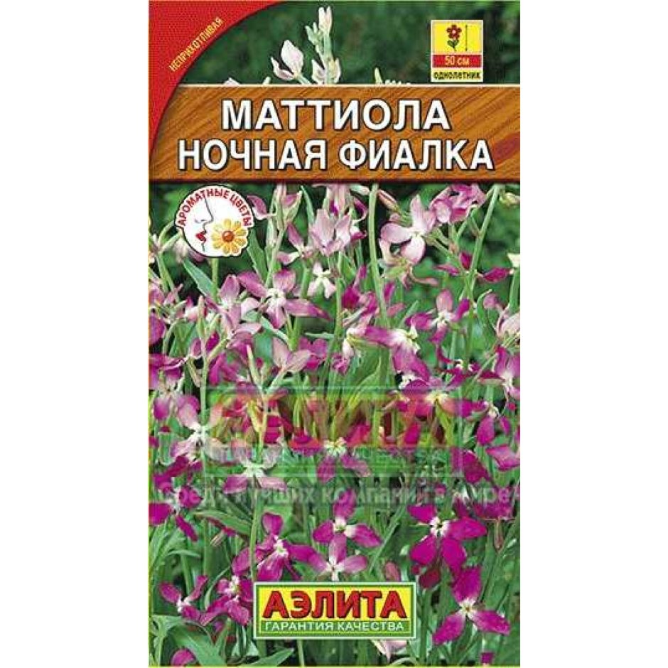 Семена маттиола ночная фиалка 0,5г Аэлита