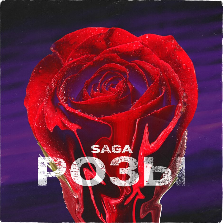 Роза сага