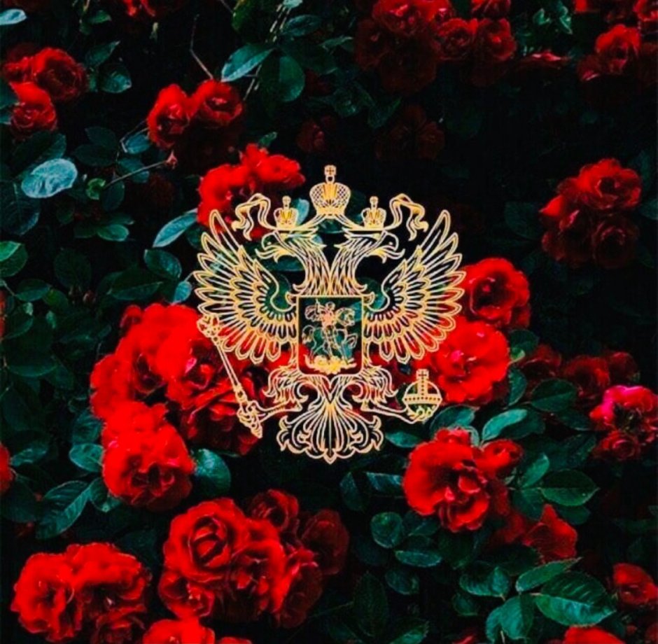 Герб на фоне роз