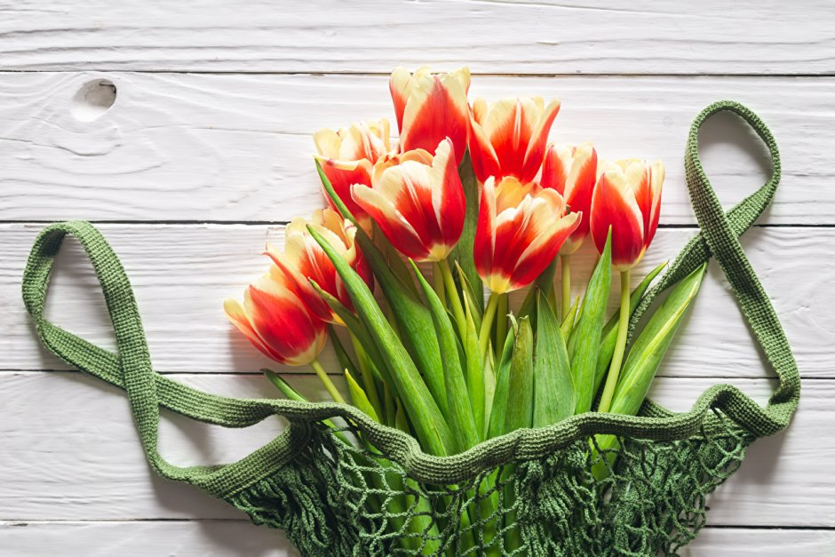 Spring Wallpaper Tulips 4k